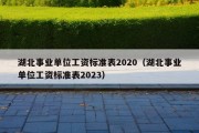 湖北事业单位工资标准表2020（湖北事业单位工资标准表2023）