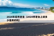 2024年后养老金（2024养老金上调多少是真的吗）