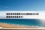 湖南省养老基数2020(湖南省2021年基础养老金是多少)