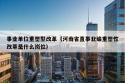 事业单位重塑型改革（河南省直事业编重塑性改革是什么岗位）