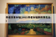 养老改革补贴(2021养老补贴新政策出台)