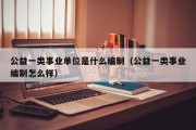 公益一类事业单位是什么编制（公益一类事业编制怎么样）