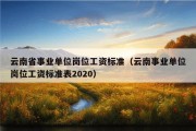 云南省事业单位岗位工资标准（云南事业单位岗位工资标准表2020）