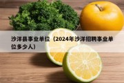 沙洋县事业单位（2024年沙洋招聘事业单位多少人）