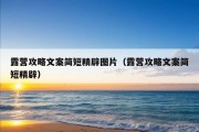 露营攻略文案简短精辟图片（露营攻略文案简短精辟）