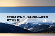 机构改革2021年（机构改革2023年改革方案预测）