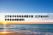 辽宁省今年养老金调整方案（辽宁省2023年养老金调整细则）