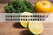 河北省2023年养老金计发基数是多少?（河北省2023年养老金计发基数是多少）