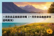 一月份去云南旅游攻略（一月份去云南旅游合适吗英文）