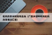 机构改革乡财政所去向（广西乡镇财政所机构改革情况汇报）