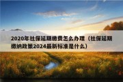 2020年社保延期缴费怎么办理（社保延期缴纳政策2024最新标准是什么）