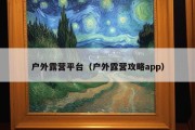 户外露营平台（户外露营攻略app）