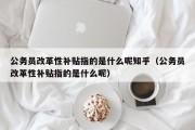 公务员改革性补贴指的是什么呢知乎（公务员改革性补贴指的是什么呢）