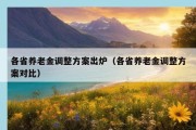 各省养老金调整方案出炉（各省养老金调整方案对比）