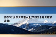 怀孕5个月饮食菜谱大全(孕妇五个月食谱家常菜)