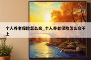 个人养老保险怎么交_个人养老保险怎么交不上