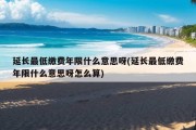 延长最低缴费年限什么意思呀(延长最低缴费年限什么意思呀怎么算)