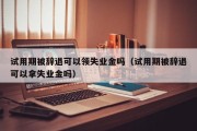 试用期被辞退可以领失业金吗（试用期被辞退可以拿失业金吗）