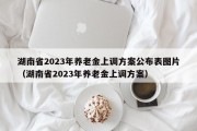 湖南省2023年养老金上调方案公布表图片（湖南省2023年养老金上调方案）