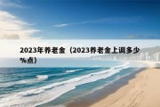 2023年养老金（2023养老金上调多少%点）