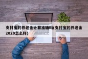 支付宝的养老金计算准确吗(支付宝的养老金2020怎么样)