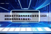 湖南省关于市县机构改革总体意见（2024湖南省机构改革方案全文）