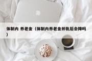 体制内 养老金（体制内养老金并轨后会降吗）