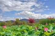 真没想到！普者黑高清图 普者黑旅游攻略 - 普者黑是个什么地方