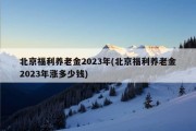 北京福利养老金2023年(北京福利养老金2023年涨多少钱)