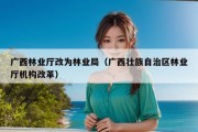 广西林业厅改为林业局（广西壮族自治区林业厅机构改革）