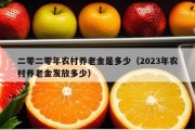 二零二零年农村养老金是多少（2023年农村养老金发放多少）