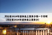 河北省2024年退休金上涨多少钱一个月呢（河北省2024年退休金上涨多少）