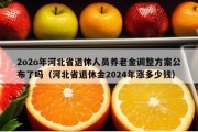 2o2o年河北省退休人员养老金调整方案公布了吗（河北省退休金2024年涨多少钱）