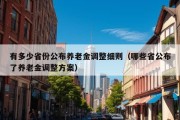 有多少省份公布养老金调整细则（哪些省公布了养老金调整方案）