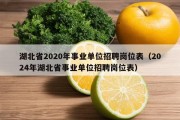 湖北省2020年事业单位招聘岗位表（2024年湖北省事业单位招聘岗位表）