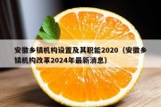 安徽乡镇机构设置及其职能2020（安徽乡镇机构改革2024年最新消息）