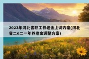 2023年河北省职工养老金上调方案(河北省二o二一年养老金调整方案)