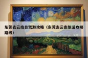 东莞去云南自驾游攻略（东莞去云南旅游攻略路线）