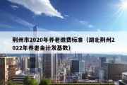 荆州市2020年养老缴费标准（湖北荆州2022年养老金计发基数）