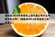 湖南省2023年养老金上调方案公布什么时候才能公布?（湖南省2023年养老金上调方案公）