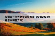 安徽二一年养老金调整方案（安徽2024年养老金调整方案）