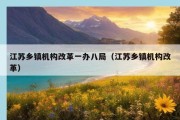 江苏乡镇机构改革一办八局（江苏乡镇机构改革）