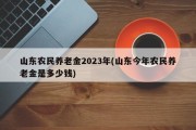 山东农民养老金2023年(山东今年农民养老金是多少钱)