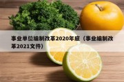 事业单位编制改革2020年底（事业编制改革2021文件）