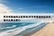 怀孕养泰迪狗注意事项(怀孕养泰迪狗应该没有什么事儿吧?)