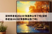 深圳养老金2023计发基数公布了吗(深圳养老金2023计发基数公布了吗)