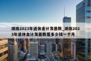 湖南2023年退休金计发基数_湖南2023年退休金计发基数是多少钱一个月