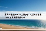 上海养老金20021上涨多少（上海养老金2024年上调率是多少）