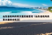 山东省机构改革方案实施意见（山东省机构改革方案综合执法）