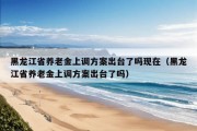 黑龙江省养老金上调方案出台了吗现在（黑龙江省养老金上调方案出台了吗）